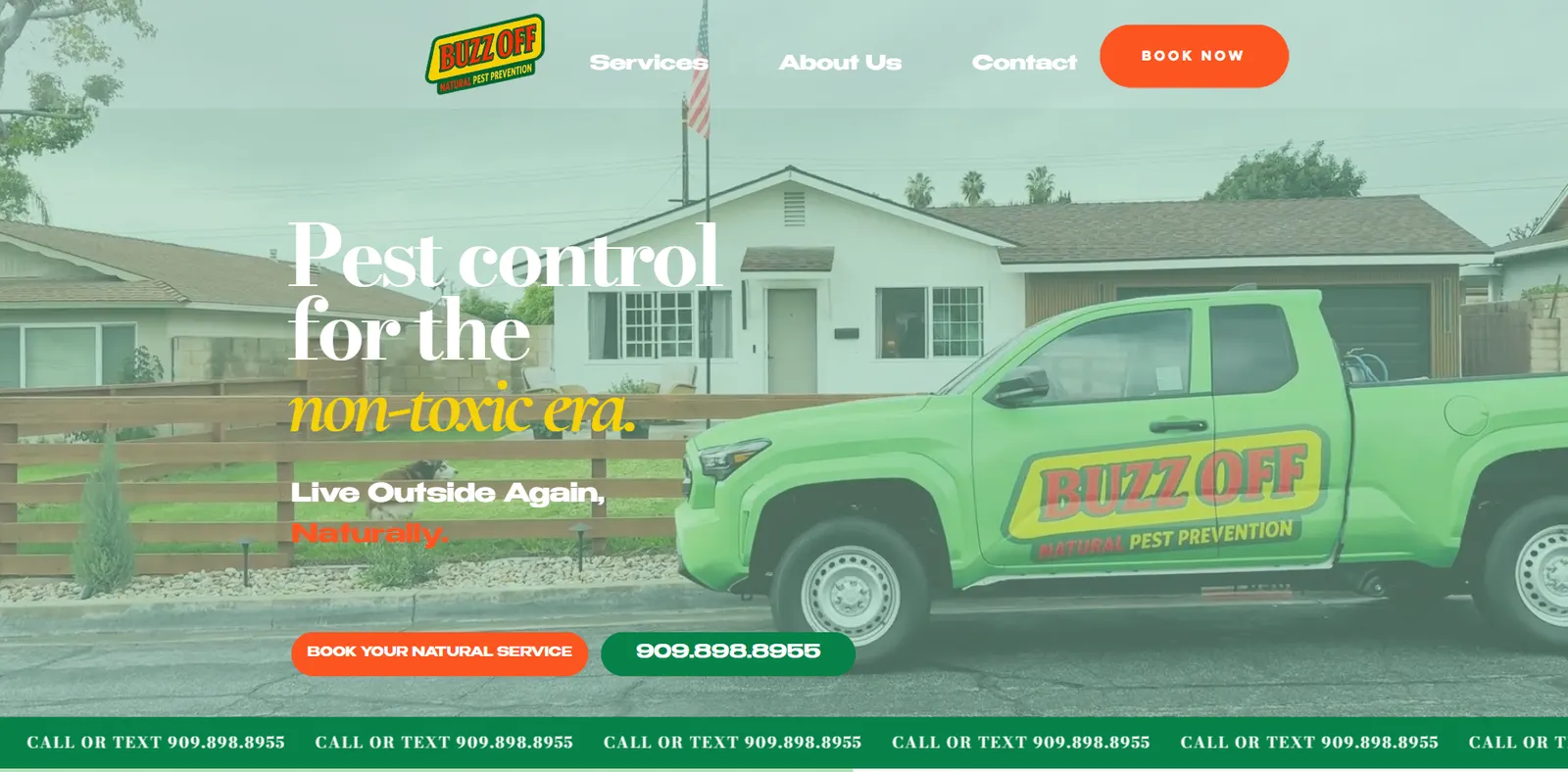 Old Spray Buzz Off homepage